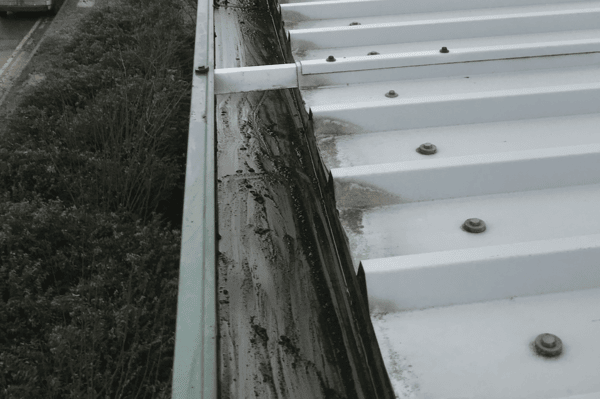 Commercial gutter cleaning specialists in Shefford